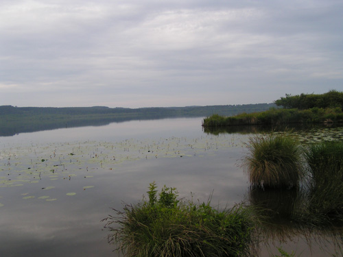 Lac de Léon, réserve naturelle du Courant d'Huchet